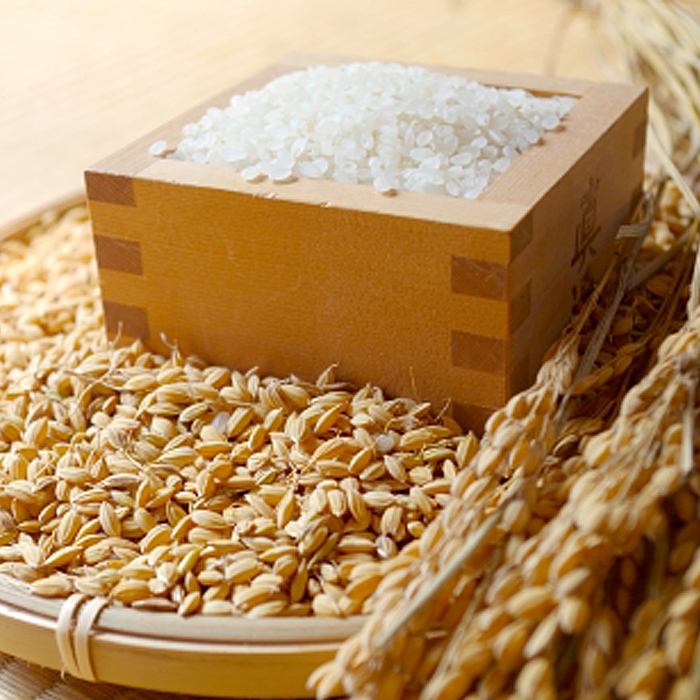 【令和7年産新米】 【定期便3回】新米☆特別栽培米 つや姫(