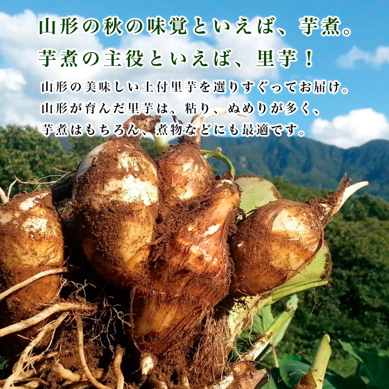 農薬不使用 自然農法 山形特産 土付里芋 5kg!(さといもやの