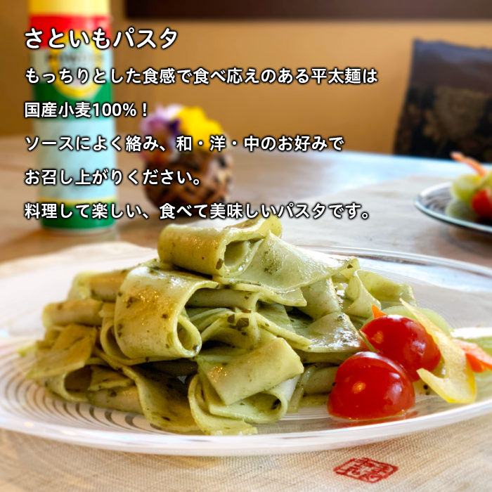 さといも入り乾麺シリーズ さといもパスタ 180g×10袋セット 