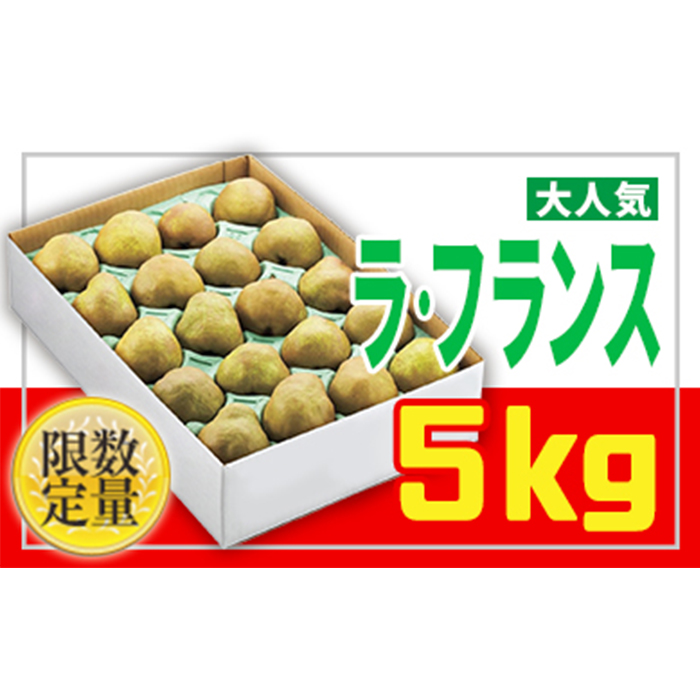 ☆フルーツ王国山形☆【家庭用】ラ・フランス 5kg FY25-888