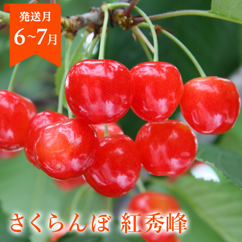 【定期便3回】山形まるごと！人気のくだものベスト3【お試