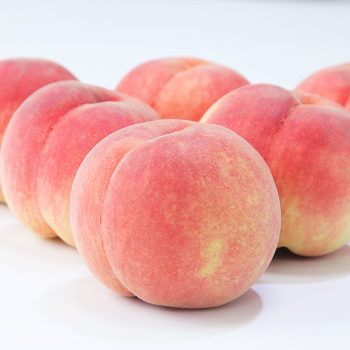 ☆フルーツ王国山形☆白桃 秀品 2kg(かたいままの桃) 【令和