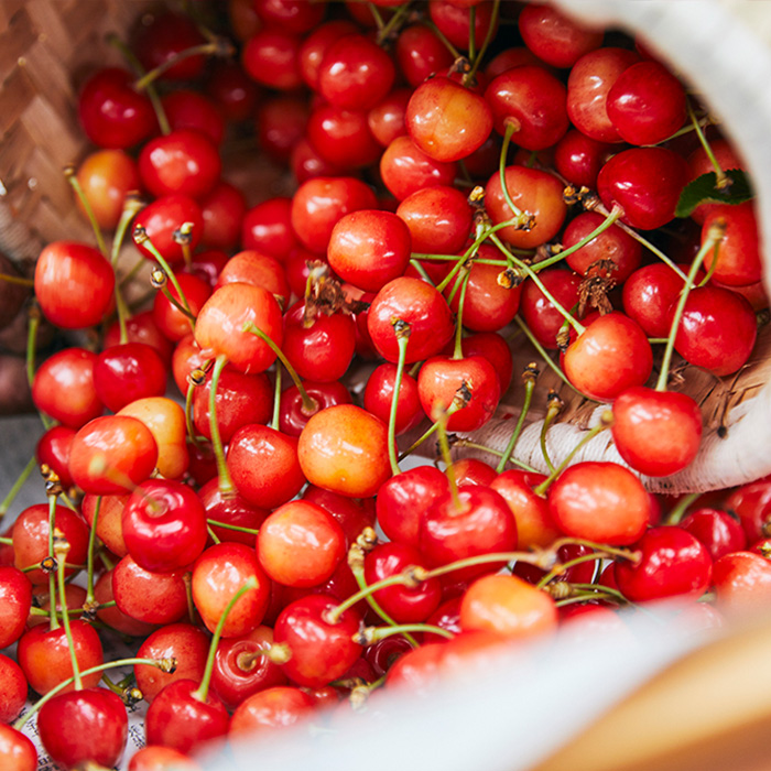 【定期便5回】毎月届く！果物王国山形のフルーツ 【令和8