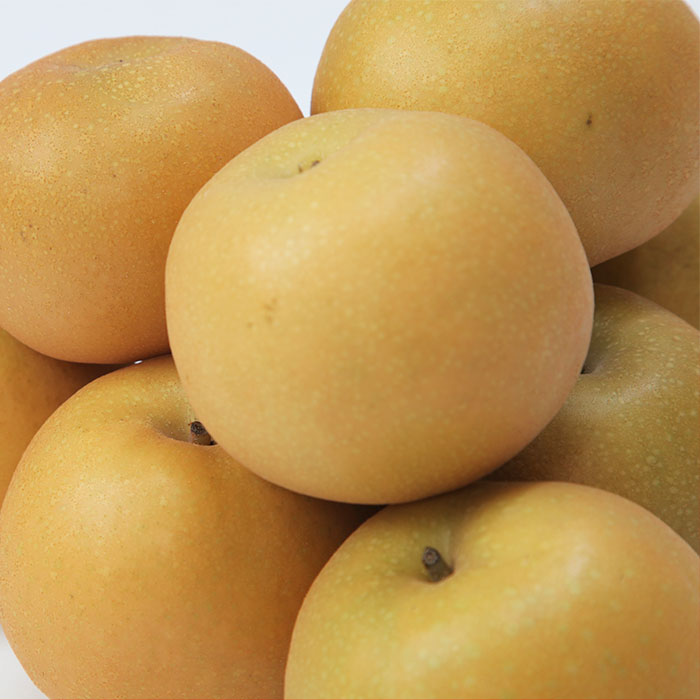 ☆フルーツ王国山形☆和梨(あきづき) 秀品 3kg【令和8年産先