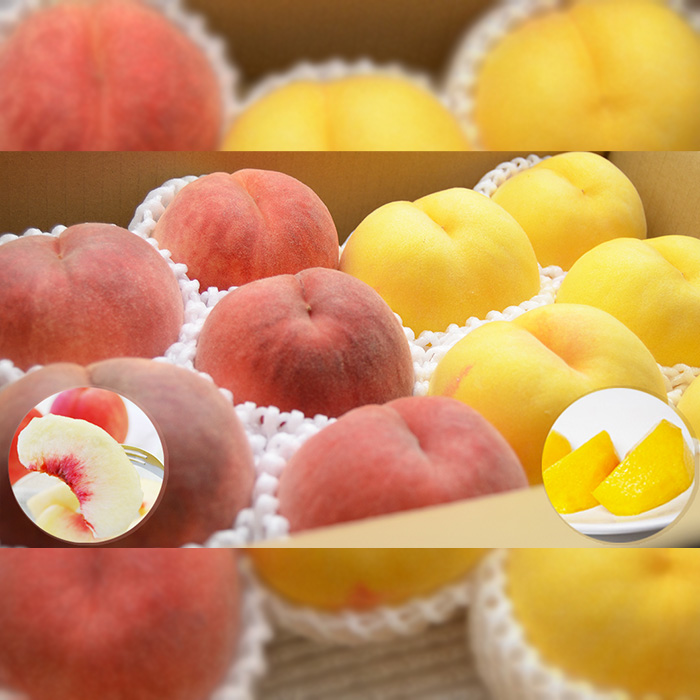 山形の白桃と黄桃のセット 約3kg(6～13玉)[柔らかくなる品種