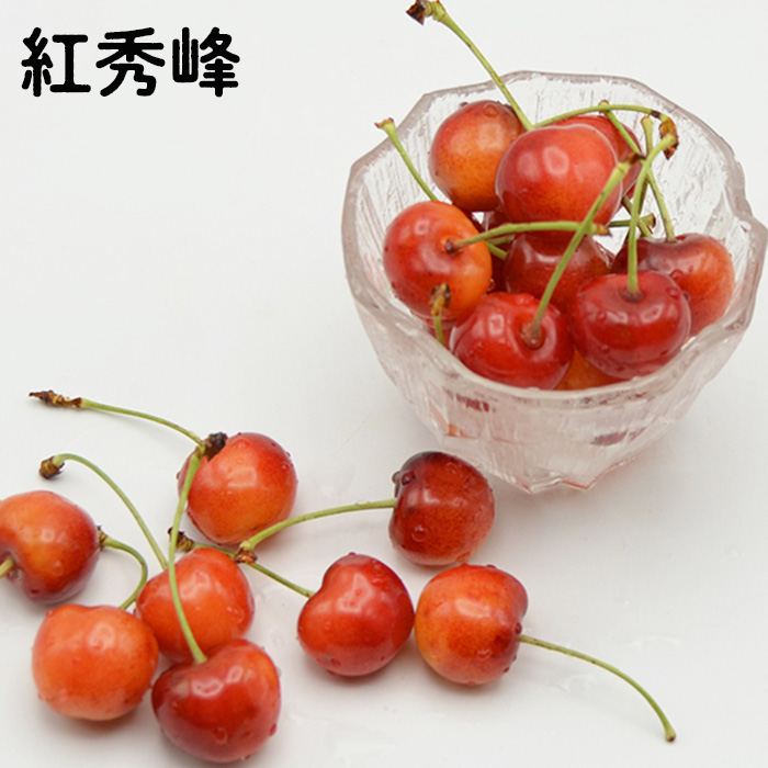 山形のさくらんぼ食べ比べ3種 1.2kg(200g×6パック)[紅秀峰・紅