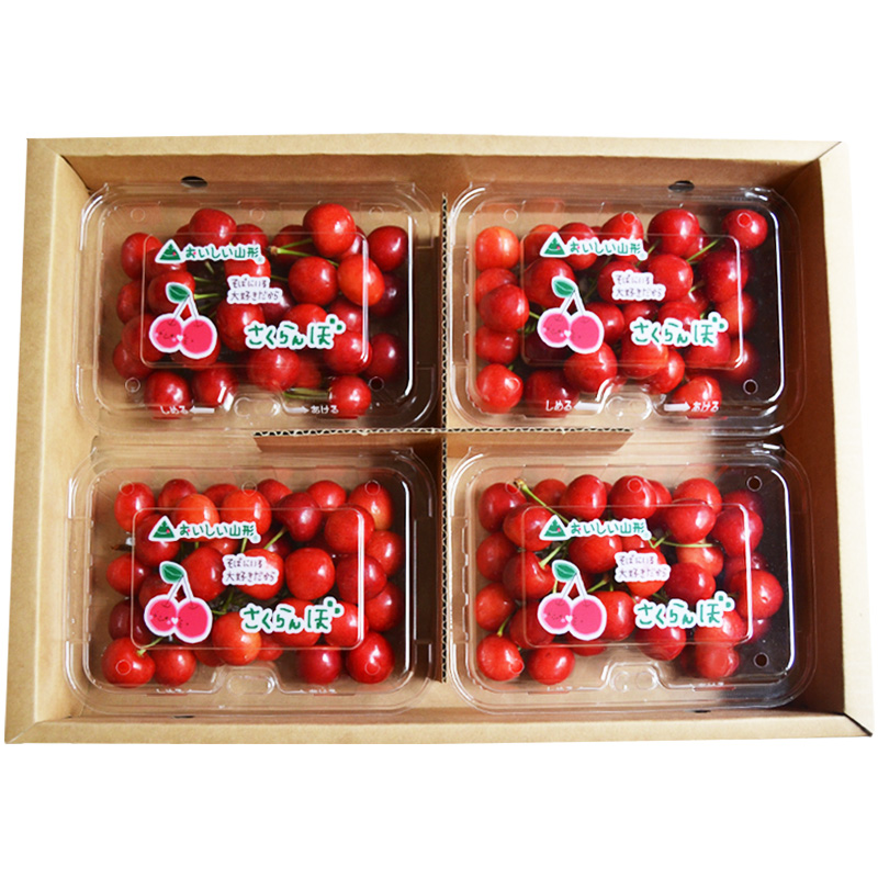 山形のさくらんぼ 紅てまり Lサイズ以上 720g(180g×4) 【令和8