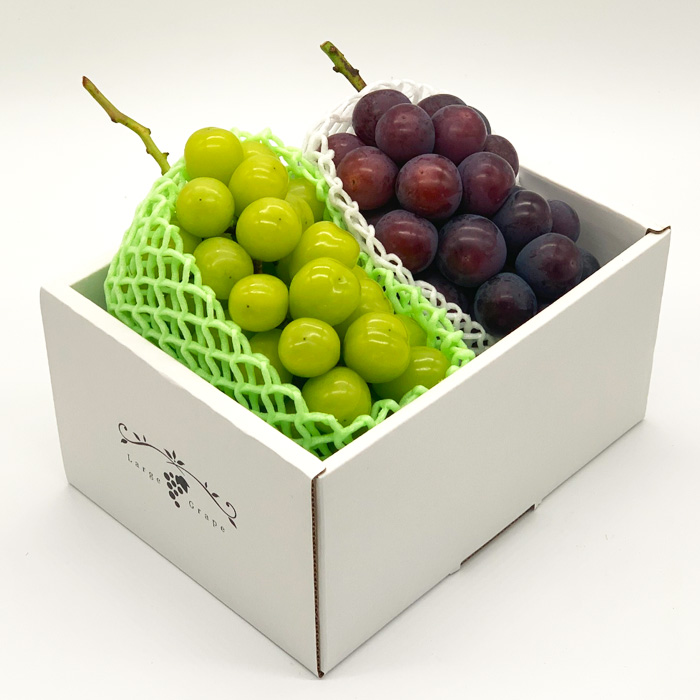 ★ぶどうの食べ比べセット★シャインマスカットとピオー