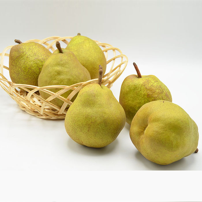 【特秀】山形の極上 ラフランス 特秀品 約5kg(12～16玉)[11月