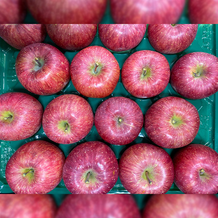 サンふじりんご 無袋 秀品5kg(14玉～20玉) FY25-902