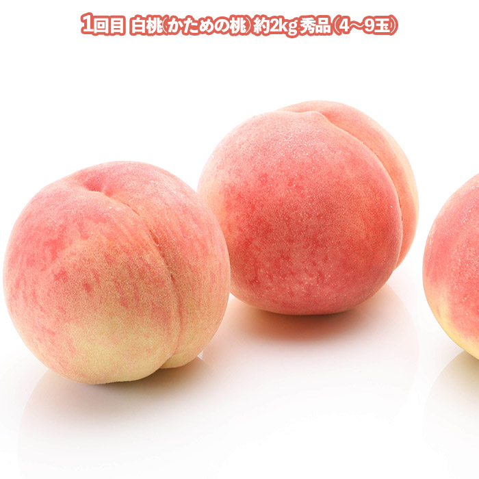 【定期便3回】美味しい秋冬フルーツベスト３ 【令和8年産