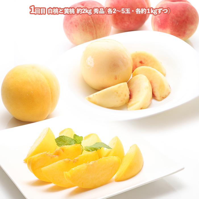 【定期便3回】どれも美味しい山形フルーツ贅沢６種便【令