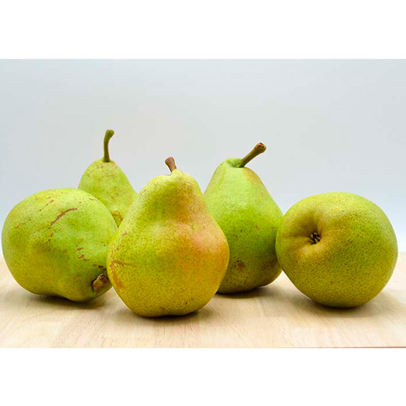 ★定期便3回★山形の洋梨食べつくし！(マリゲットマリーラ