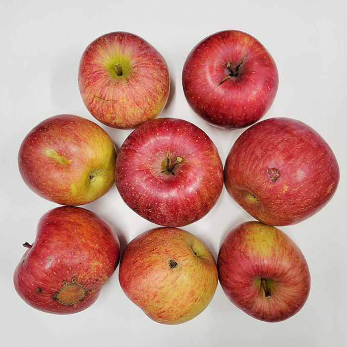 【ご自宅用】サンふじりんごとラ・フランスの詰め合わせ