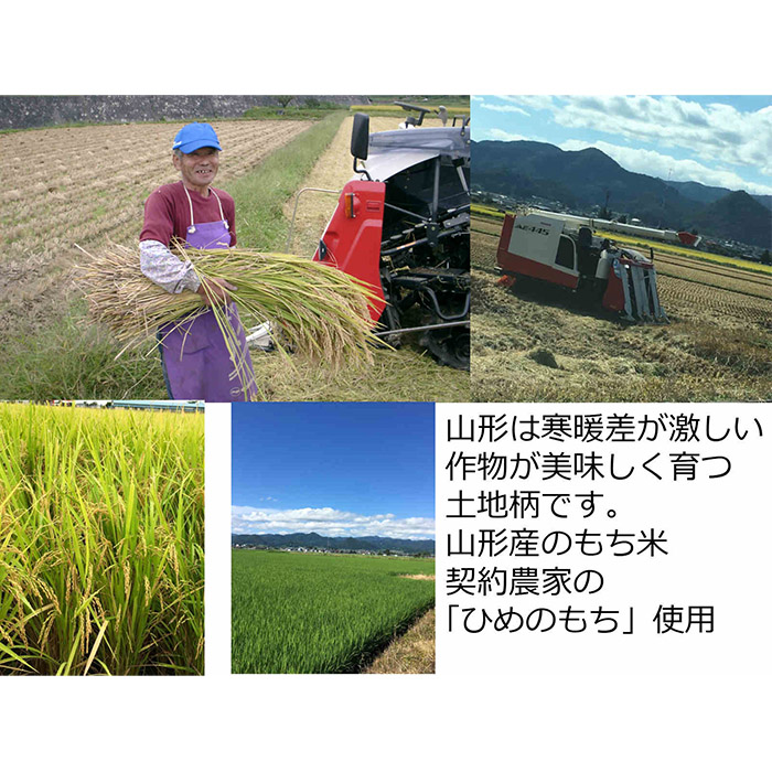 山形産ひめのもち使用！切り餅(1kg)・ずんだあん(200g)・こし