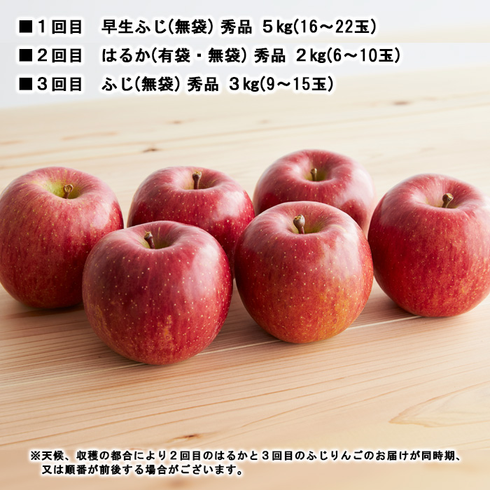 【定期便3回】やまがた秋のりんご三昧 【令和7年産先行予