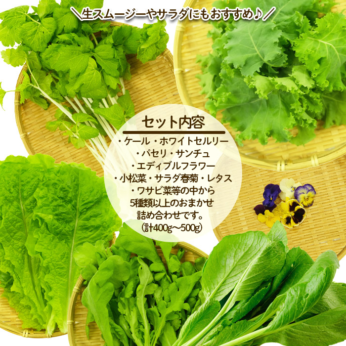 【ミライファーム】水耕栽培 野菜詰合せ おまかせ5品種【