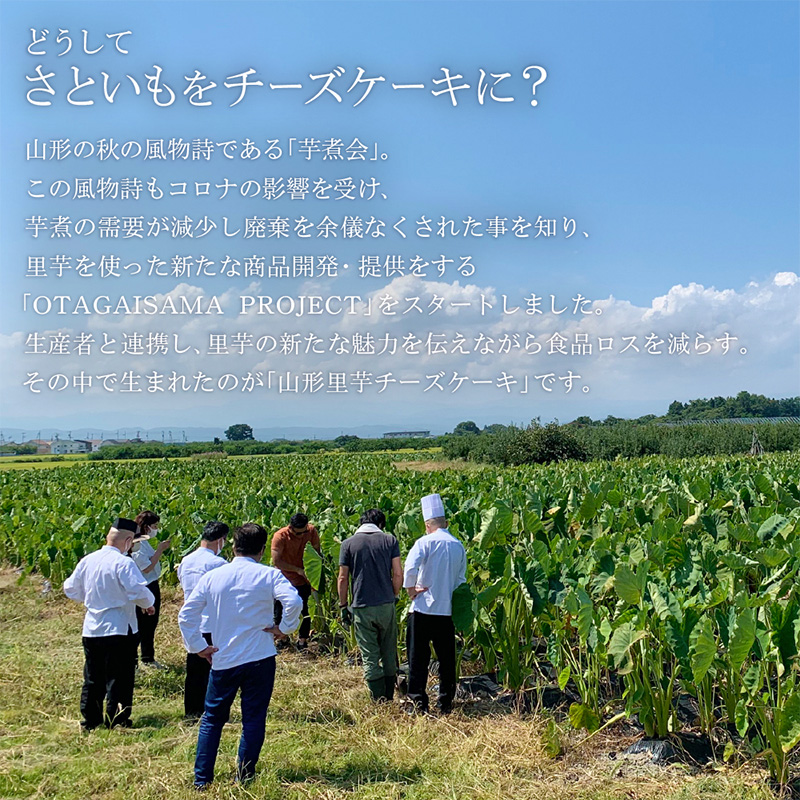 【日本ギフト大賞山形賞受賞】山形里芋チーズケーキ FZ23-68
