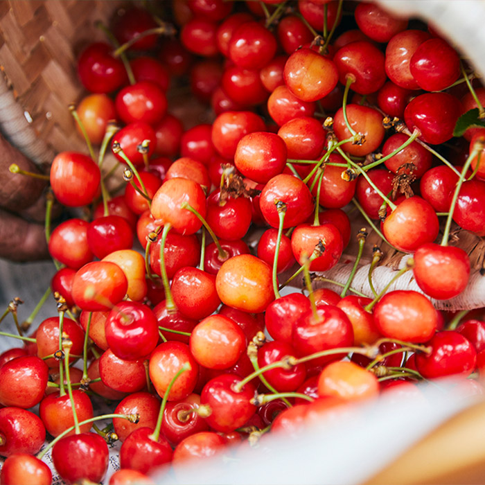 【定期便4回】初夏から冬まで！山形のくだもの便 【令和8