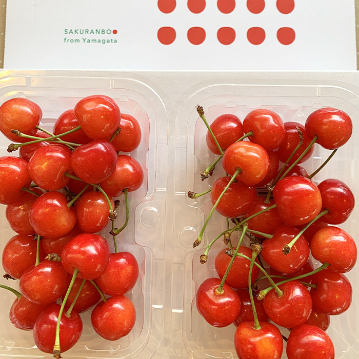 【定期便3回】農家さんおすすめ ～人気くだものトップ３！