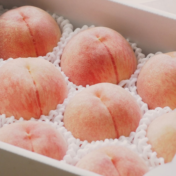 【定期便3回】3種の桃　食べきり定期便～各2kg～ 【令和7年