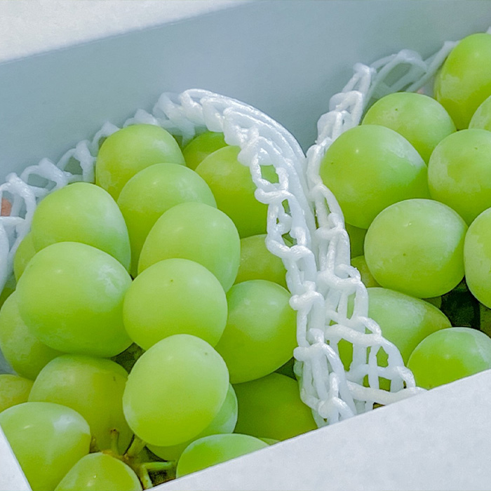 山形産 ぶどう シャインマスカット 【令和8年産先行予約】F