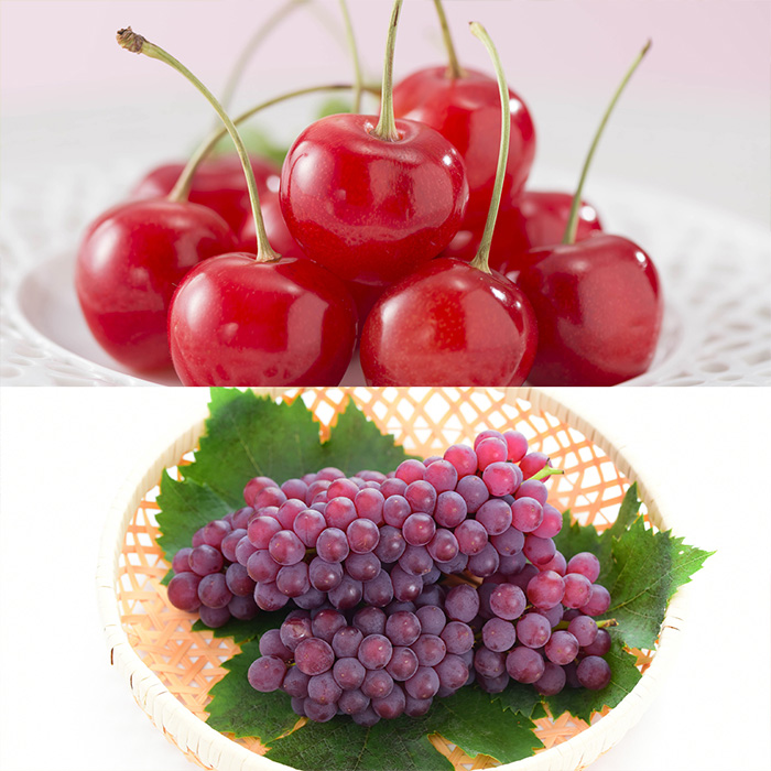 【定期便6回】山形の恵みB 【令和8年産先行予約】FS25-645