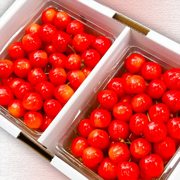 【定期便3回】山形市の至高！山形市厳選フルーツ定期便【