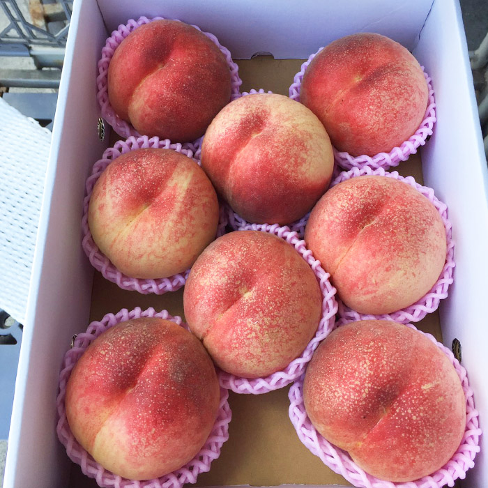 山形市産 白桃 秀品 約3kg(6玉～13玉)※品種おまかせ「硬い桃