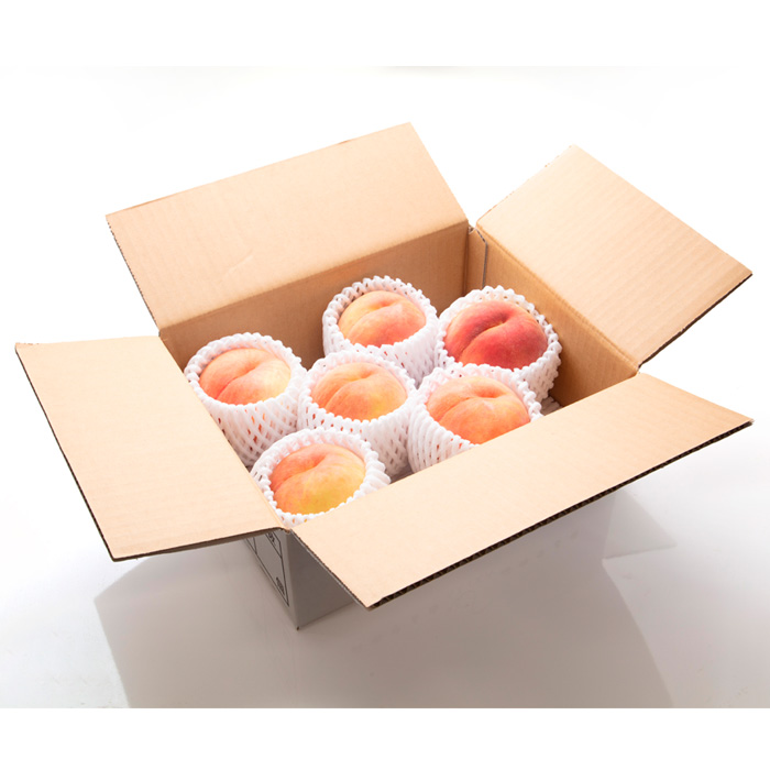 【定期便3回】桃三昧の幸せ便 【令和8年産先行予約】FS25-612