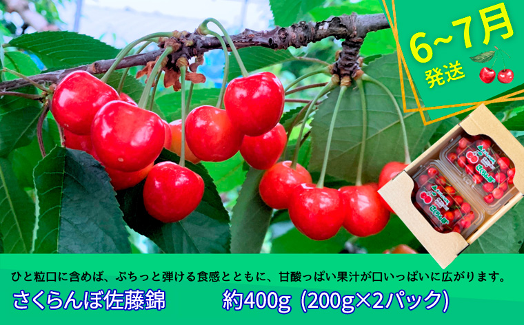 【定期便3回】やまがた フルーツ定期便 ”蔵王” 山形名物