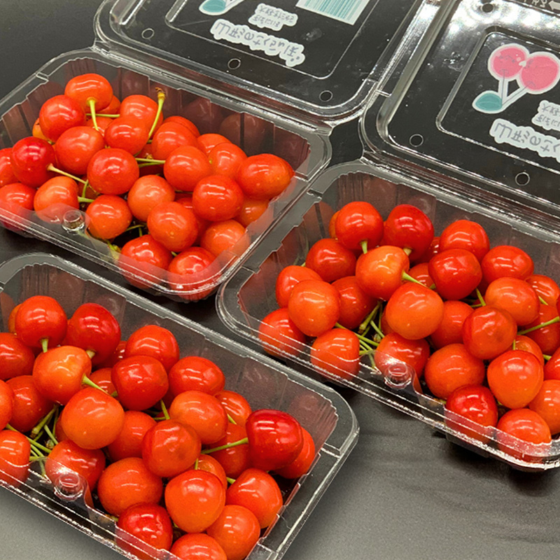 【定期便3回】やまがた フルーツ定期便 ”最上” 山形名物