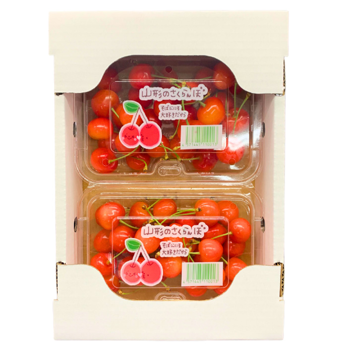 【定期便3回】やまがた 初夏さくらんぼから春いちごまでの