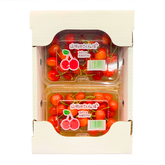 【定期便8回】やまがた 旬の果物オールスター FZ24-537