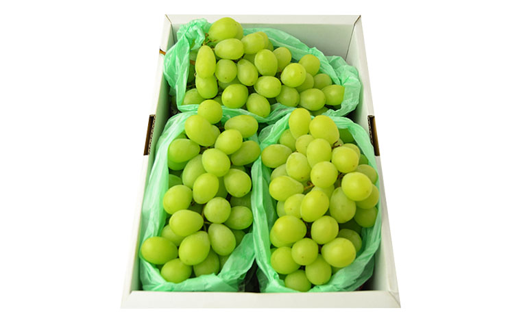 [ハウス栽培]山形のシャインマスカット 秀品 約2kg(2～5房)【