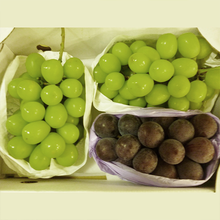 やまがたのぶどう シャインマスカット＆ピオーネ 秀品 約1.