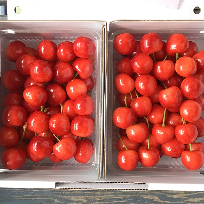 2026年6月発送開始【定期便6回】山形市産 厳選フルーツ定期