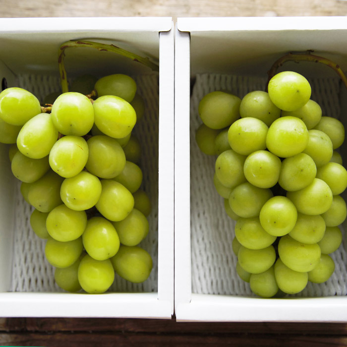 おすそ分けにおすすめ！シャインマスカット 秀品 約1.2kg(約