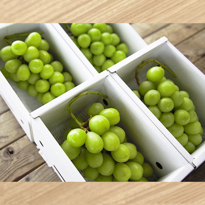 おすそ分けにおすすめ！シャインマスカット 秀品 約2.4kg(約