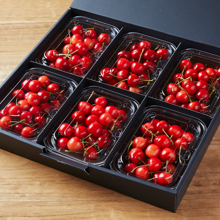 【定期便5回】ふるさと山形のプレミアム定期便 part2 【令和