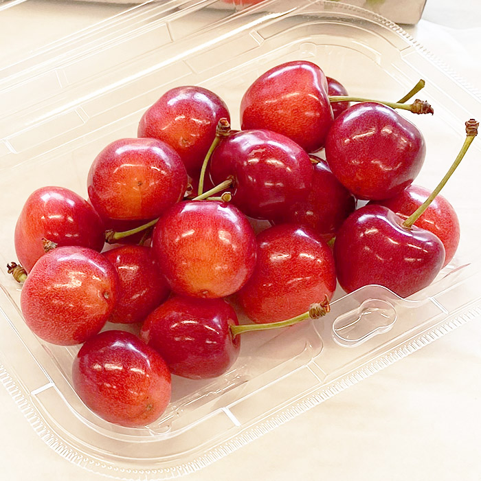 【定期便5回】山形果実の食べきり[乙女の定期便P] 【令和8