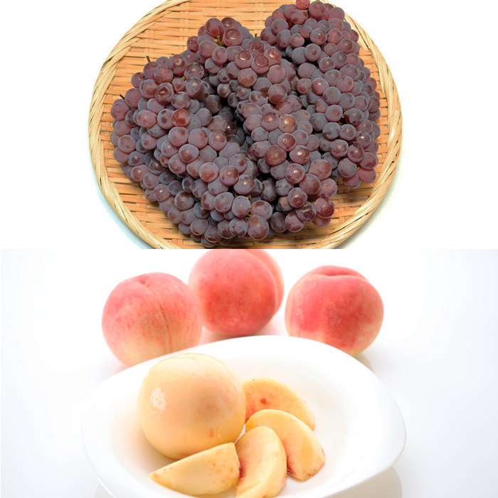 【定期便3回】山形バラエティフルーツ詰合せ 【令和8年産