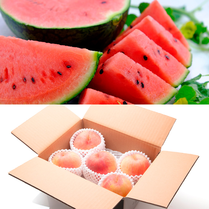 【定期便8回】フルーツちょこっと 【令和7年産先行予約】FS