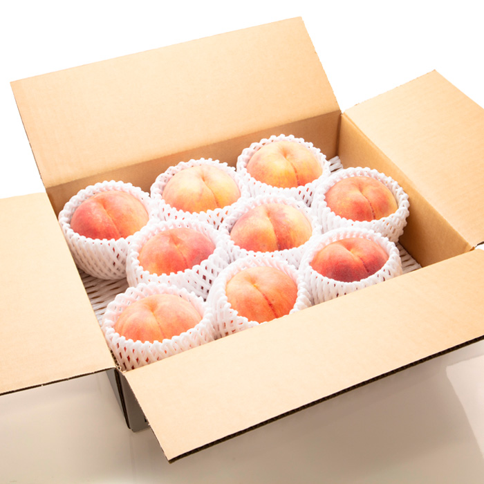 【定期便2回】山形の　もも＆ラ・フランス【令和8年産先行