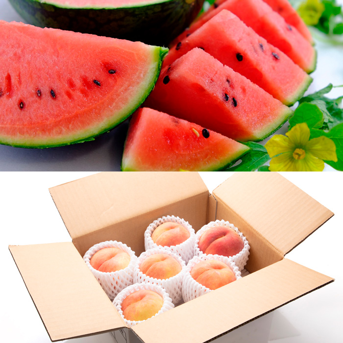 【定期便6回】山形★自慢のフルーツ 【令和8年産先行予約