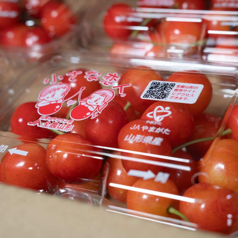 山形のさくらんぼ 紅秀峰 約720g(180g×4)【令和8年産先行予約