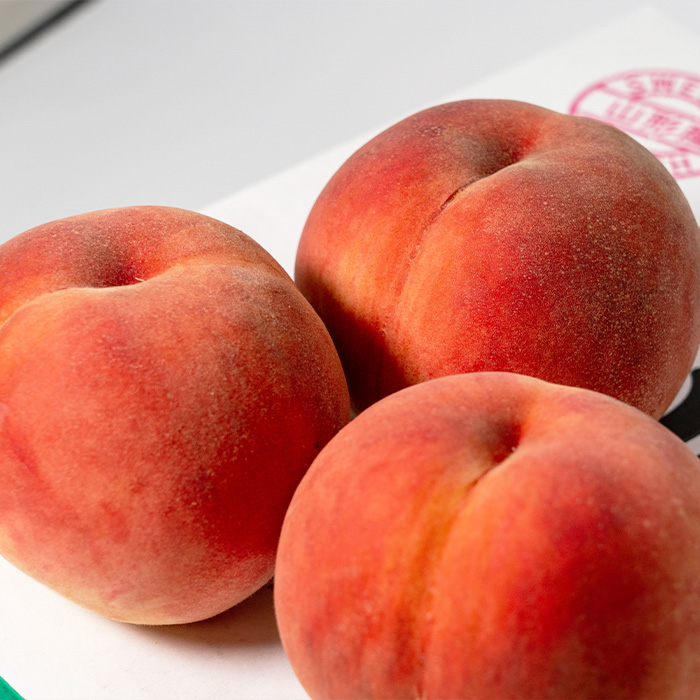 やまがたの桃(白桃) あかつき 秀品 約3kg(6～12玉程度) 【令和