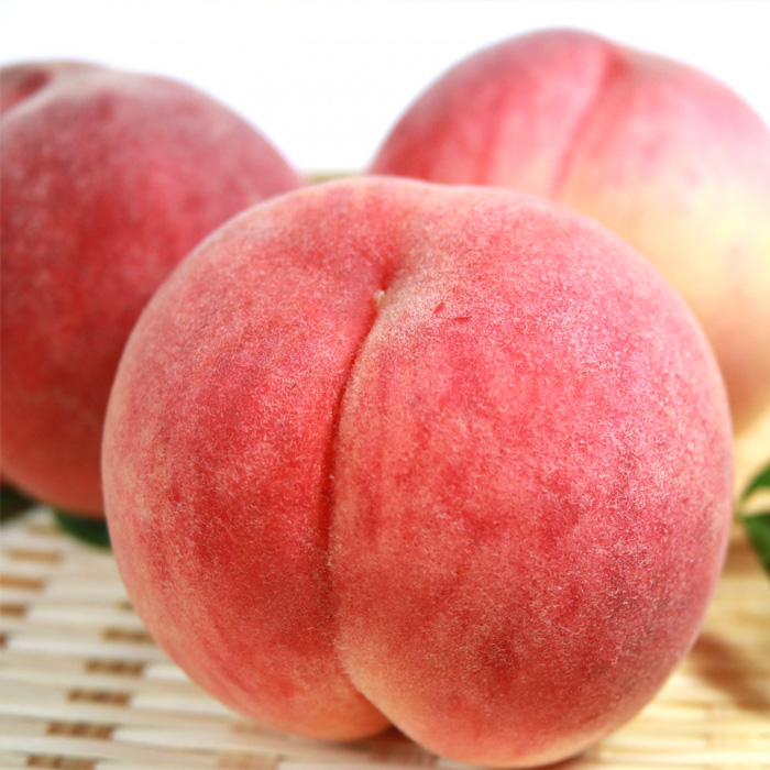 ☆フルーツ王国山形☆ 白桃 秀品3kg [山形で生産量1番の 川