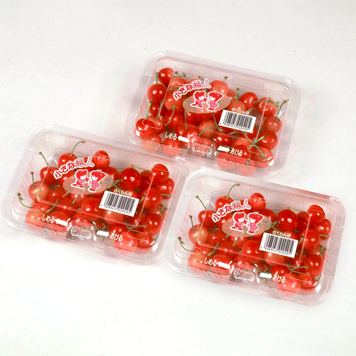 【定期便3回】☆フルーツ王国山形☆さくらんぼ3品種(紅さ