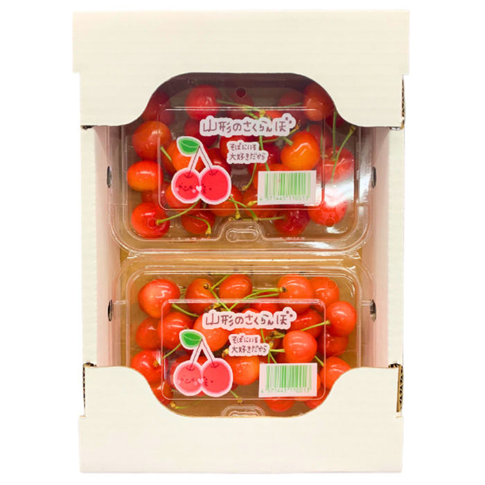 【定期便5回】やまがた ”初夏さくらんぼから冬りんご”ま